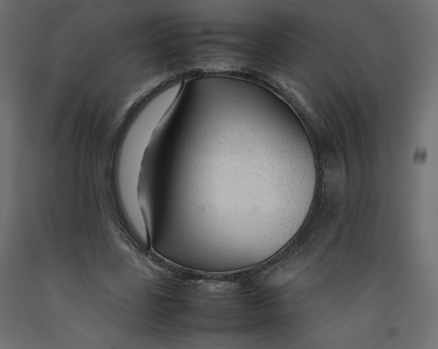 X0000092280539200710121406