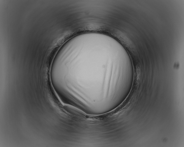 X0000092280542200710121406