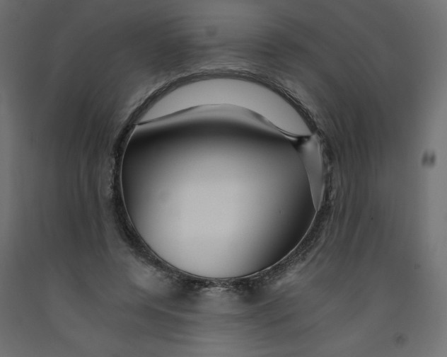 X0000092280544200710121406