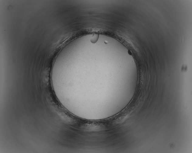 X0000092280545200710121406