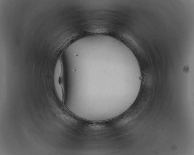 X0000092280549200710121406
