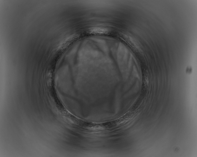 X0000092280551200710121406