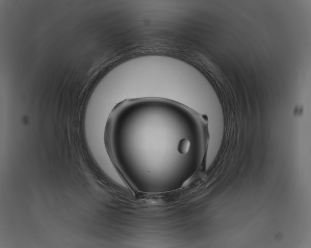 X0000092280552200710121406