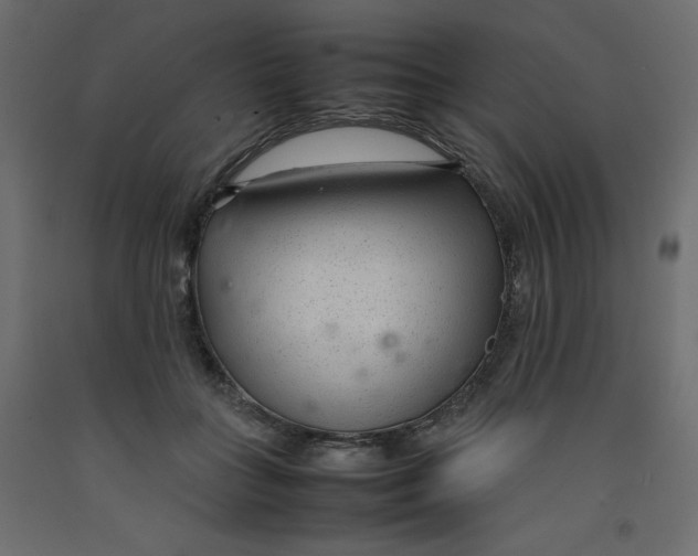 X0000092280555200710121406