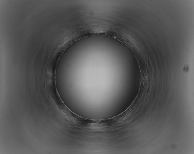 X0000092280556200710121406