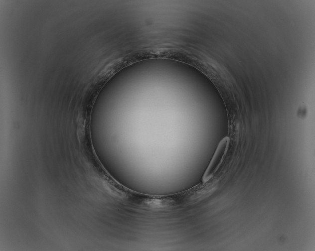 X0000092280558200710121406