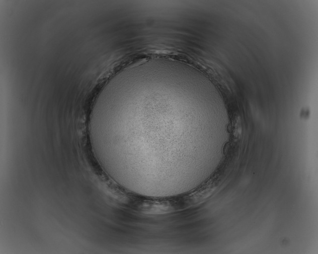 X0000092280559200710121406