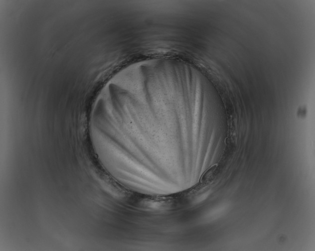 X0000092280563200710121406