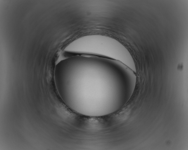 X0000092280566200710121406