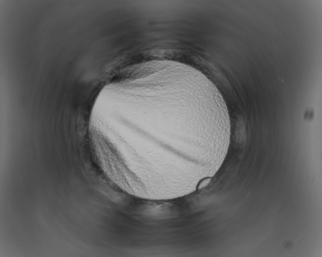 X0000092280569200710121406