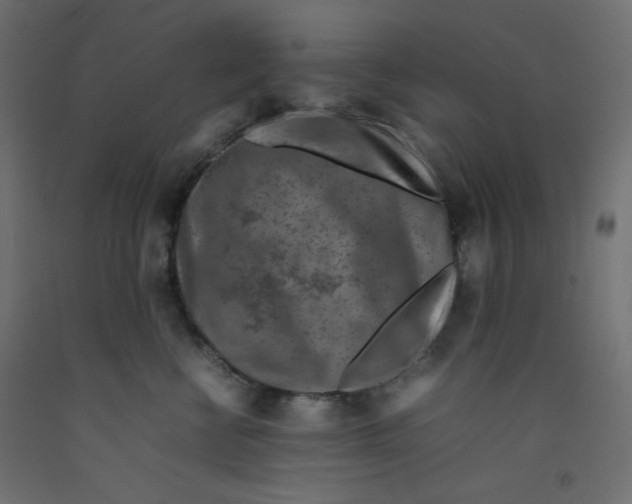 X0000092280570200710121406
