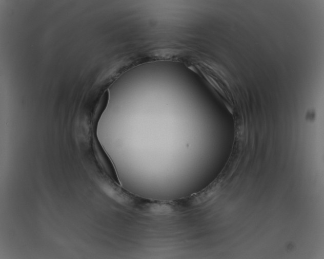 X0000092280572200710121406