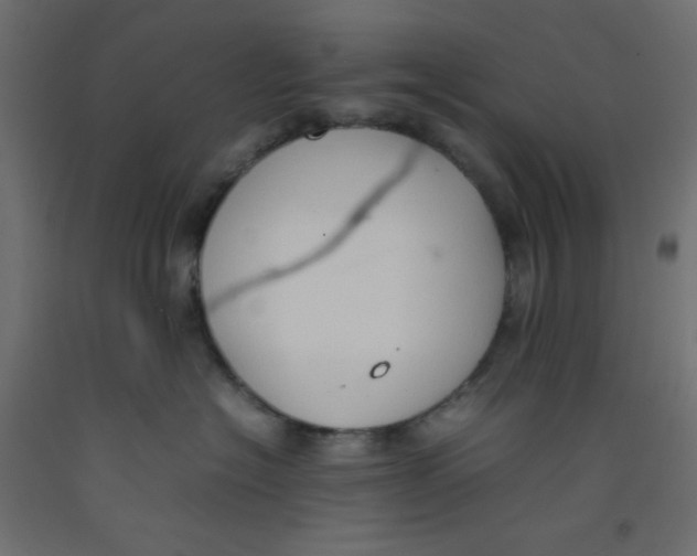 X0000092280574200710121406
