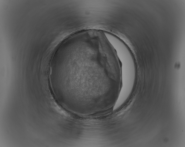 X0000092280577200710121405