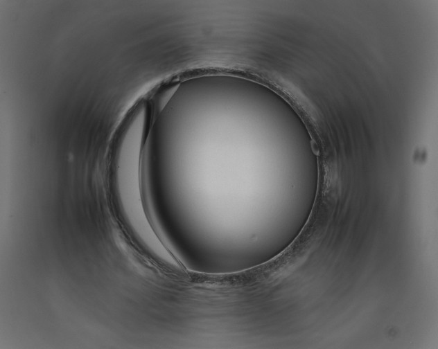 X0000092280580200710121405