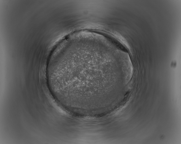 X0000092280581200710121405
