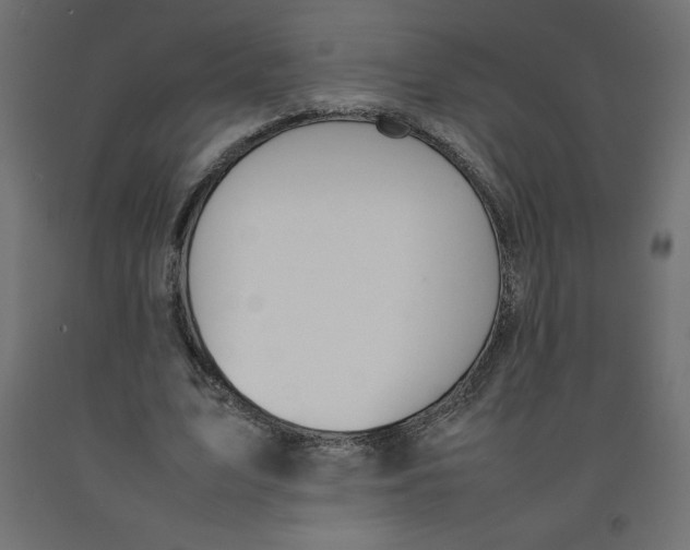 X0000092280583200710121405