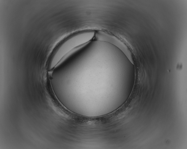 X0000092280584200710121405
