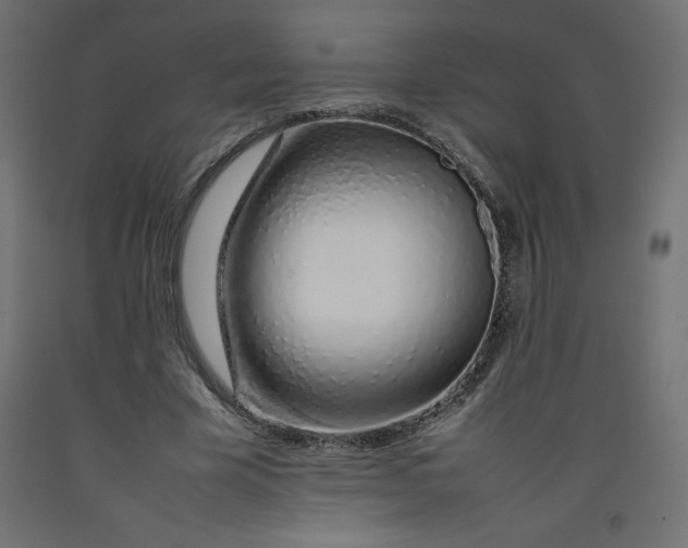 X0000092280585200710121405