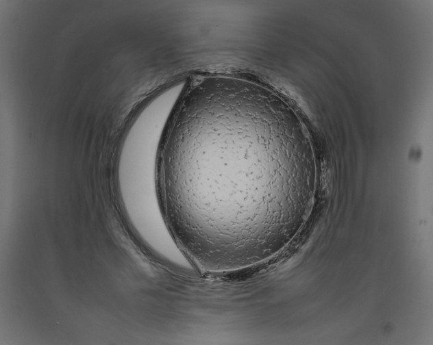 X0000092280589200710121405