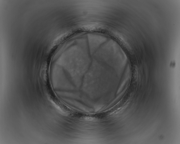 X0000092280590200710121405