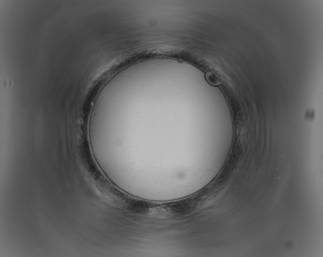 X0000092280591200710121405
