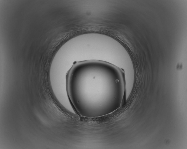 X0000092280593200710121405