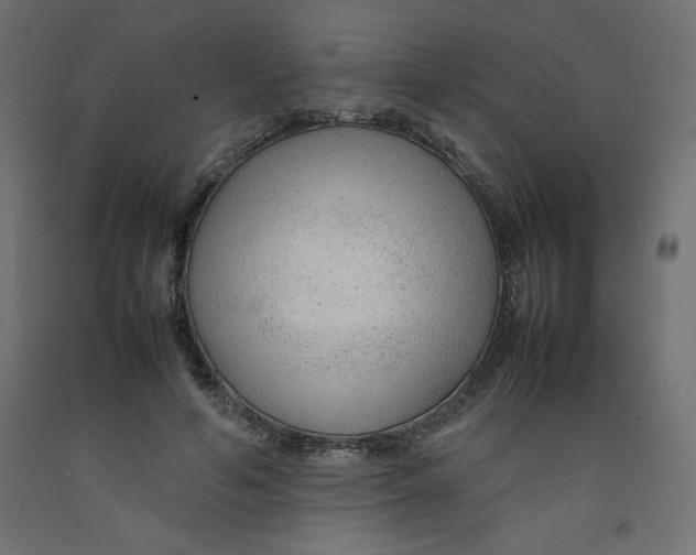 X0000092280594200710121405