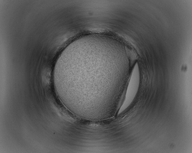 X0000092280596200710121405