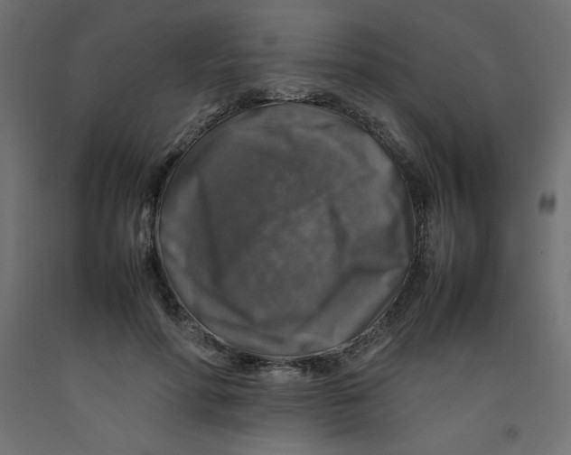 X0000092280598200710121405