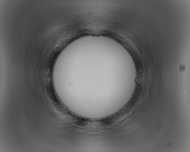 X0000092280599200710121405