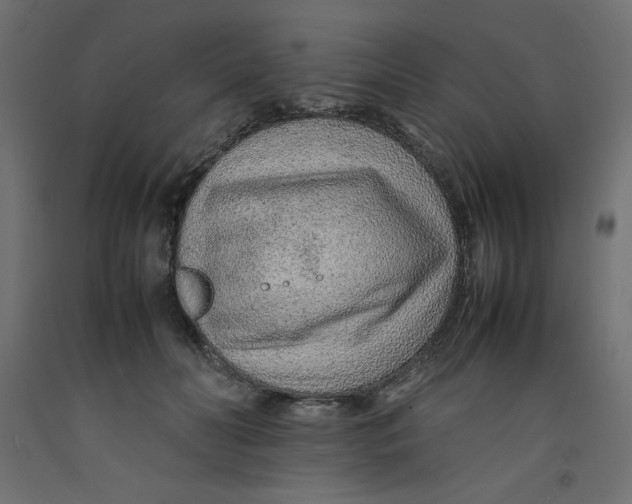 X0000092280606200710121405