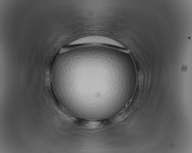 X0000092280609200710121405