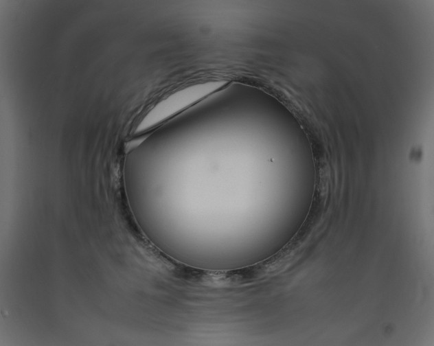 X0000092280613200710121405