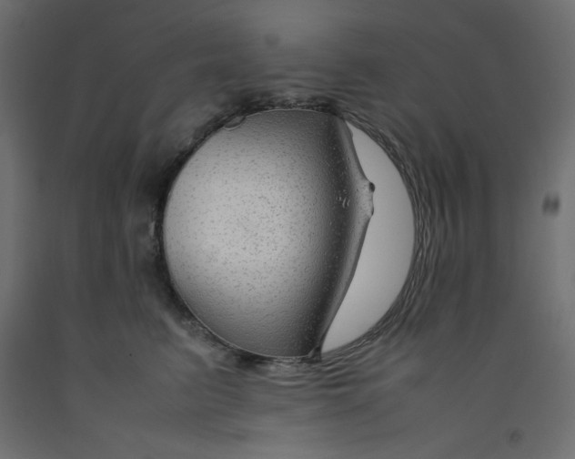 X0000092280615200710121405