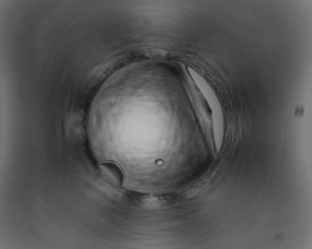 X0000092280616200710121405