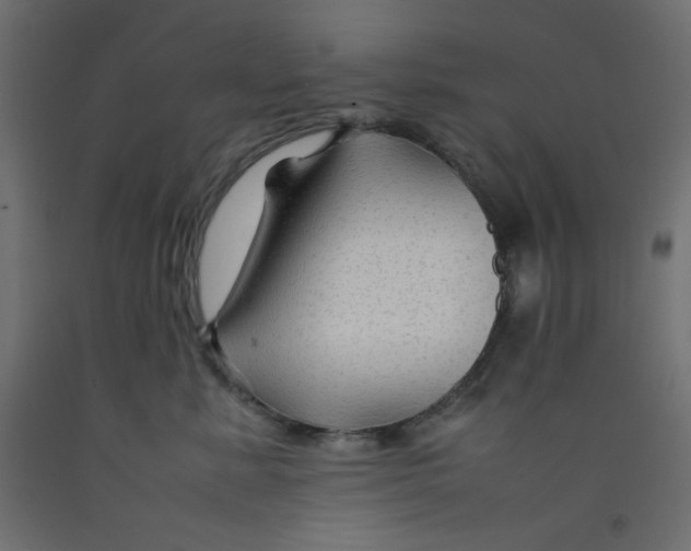 X0000092280619200710121405