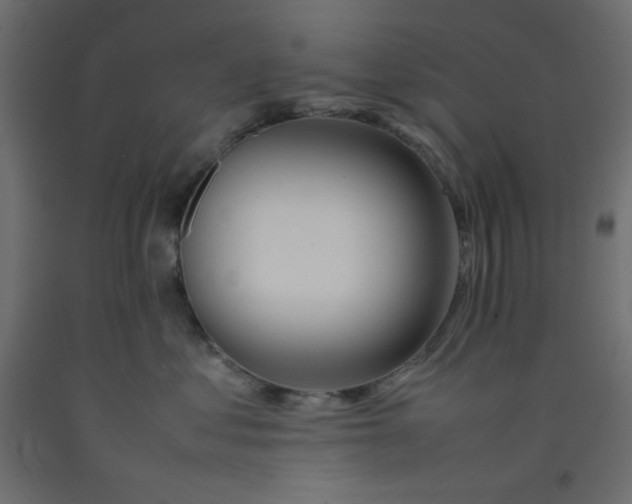 X0000092280621200710121405