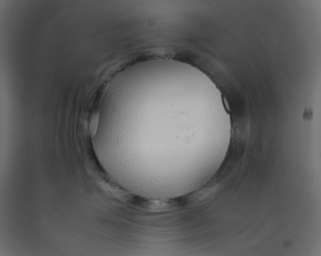 X0000092280623200710121405