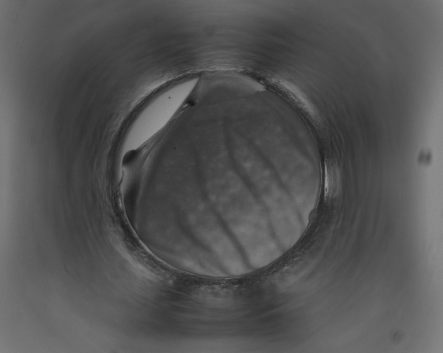 X0000092280627200710121404
