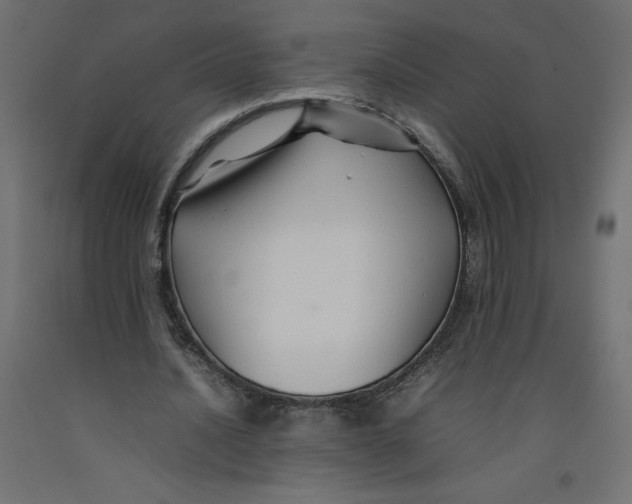 X0000092280628200710121404