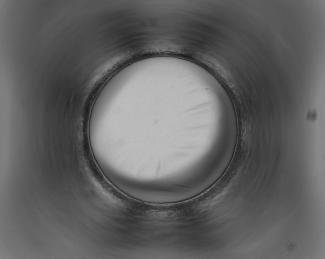 X0000092280629200710121404