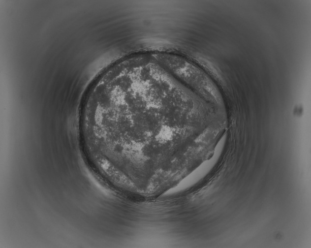 X0000092280630200710121404