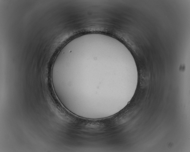 X0000092280631200710121404