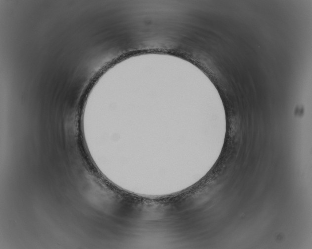 X0000092280632200710121404