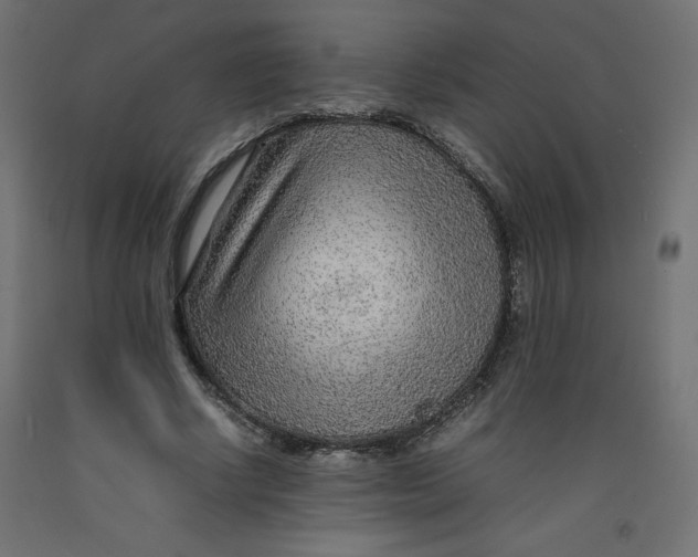 X0000092280634200710121404