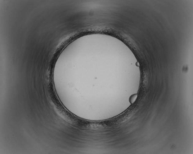 X0000092280636200710121404