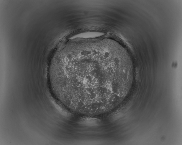 X0000092280637200710121404