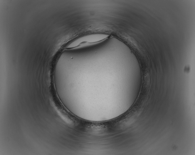 X0000092280638200710121404