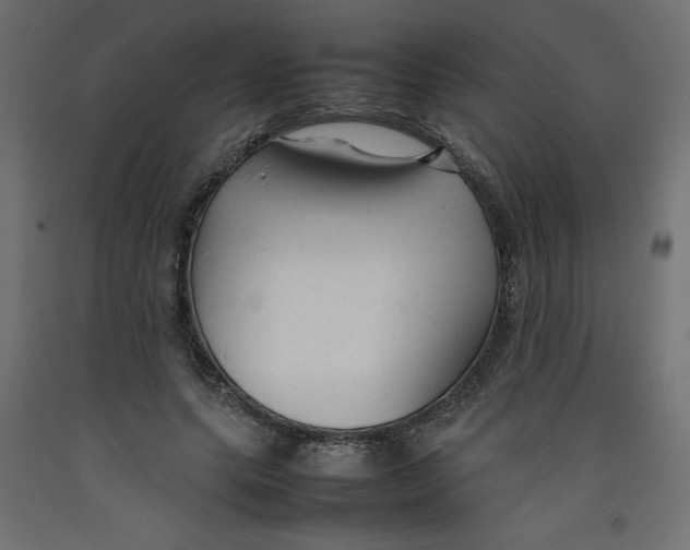 X0000092280639200710121404